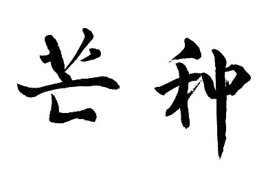 宏翔小蓝gy2022最新款式：宏翔小蓝gy2022惊艳上市：时尚潮流新选择，引领出行风尚-1