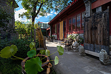 小草神吃旅行者极霸：深山奇遇：小草神之谜，探险之旅-1