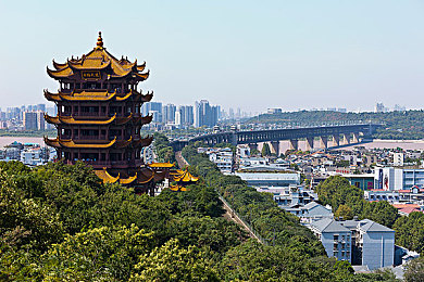 黑人专干中国女明星：跨越肤色，爱情无界：明星恋情大揭秘-2