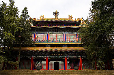 爱爱动态图：爱情瞬间，动图绘心，记录爱意流转-1