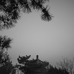 yw＊请牢记此域名防止失联：《幻想之境：异世征途》攻略详析，揭秘RPG游戏升级与战斗技巧-3