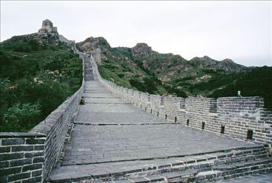 体育生自慰 免费网站：青春防线：揭秘网络迷雾，守护少年身心健康-1