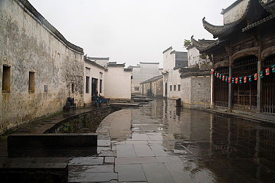 玛露和园丁1982年意大利：意大利浪漫邂逅：玛露与园丁的爱情之旅-4