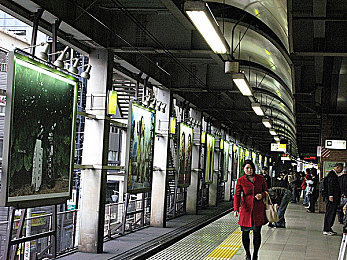 爆走黑料：网络风暴揭道德底线下，公众人物隐私曝光引深思-1