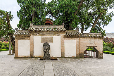调教私奴篮球体育生：体育“奴役”丑闻：青少年篮球生沦为私奴，道德与法律拷问体育培训行业-1