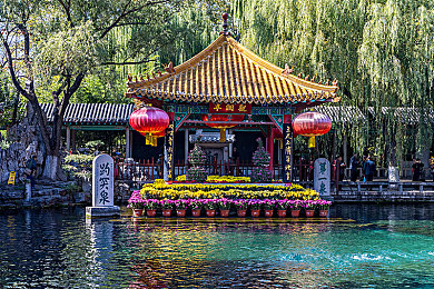 五月丁香花：城市花海漫步记-5
