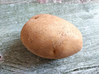吕知樾：科技先锋，爱心使者：吕知樾铸新时代青年楷模风范-1