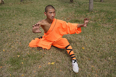天天做天天操：“揭秘‘天天做天天操’：养成健康生活新风尚，轻松塑形、减压抗衰老，生活更有活力！”-5