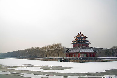 玫瑰直播：新媒体直播热潮：玫瑰直播引领互动新风尚，挑战与机遇并存-1