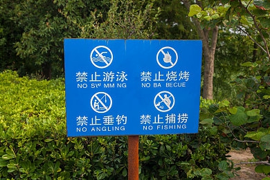 两个男生做   网站：网站帝国传奇：从梦想起航到辉煌成就-5