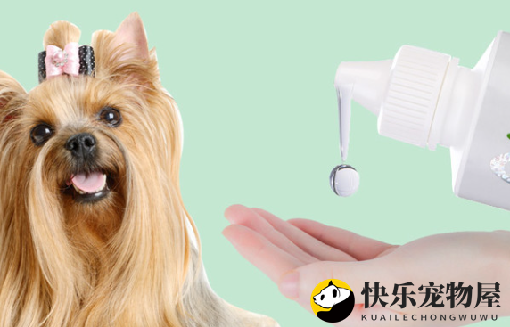 金色宠宠物精油：呵护宠物健康成长