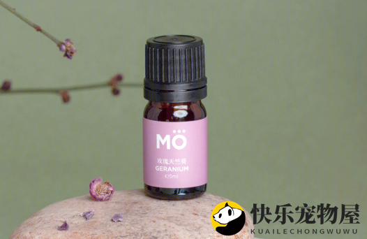 金色宠宠物精油：呵护宠物健康成长