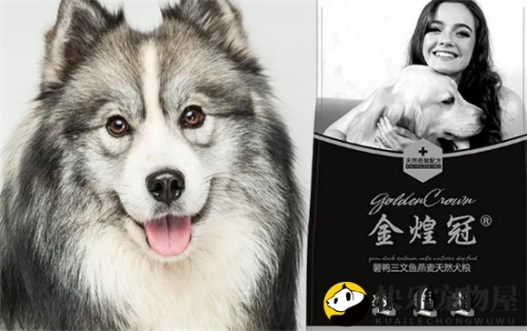 金煌冠狗粮价格