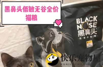 黑鼻头猫粮测评，速来看看吧~