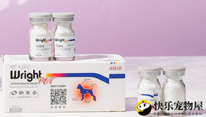 远征沃瑞特注射用头孢噻呋钠，宠物健康的守护者