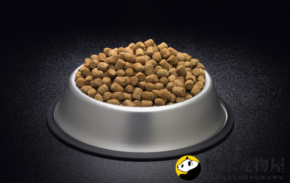 ?GOYAPET宠物粮，精心呵护宠物成长