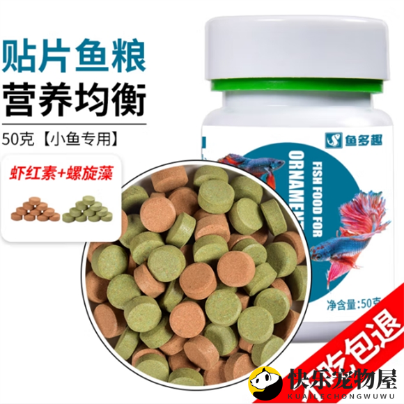 鱼多趣鱼食：鱼儿活力盛宴启幕