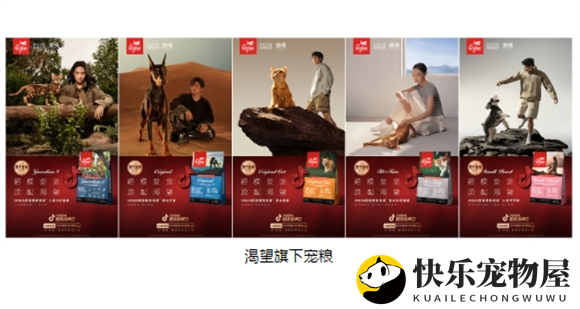 革新传统营销框架，高端宠粮品牌渴望如何引领行业升级？