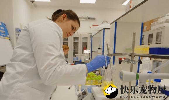 通用磨坊收购Fera Pets，Bene Meat进军宠物补充剂赛道