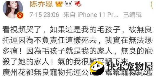 金毛Siri托运途中不幸离世！监管部门已介入调查