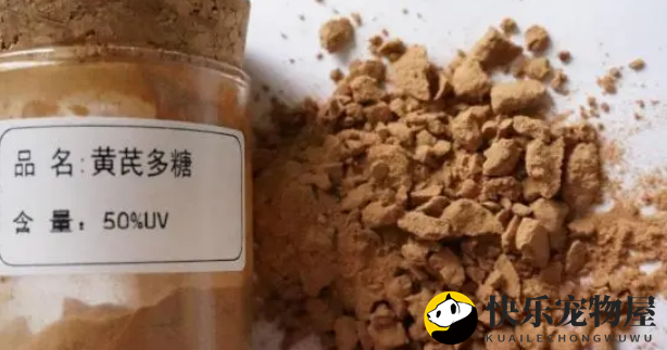 黄芪多糖在养猪生产中的妙用！