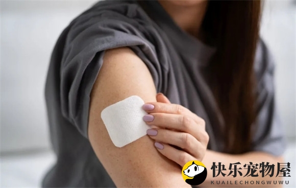 防狗咬指南：突然被恶狗攻击怎么办？