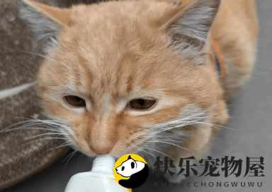 魔方化毛膏：轻松解决猫咪毛球问题