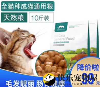 金钱豹猫粮测评：为猫咪打造健康营养餐食