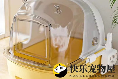 魔力猫盒 MollyBox猫砂盆：人性化设计的舒适空间