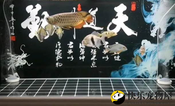 鱼缸水质问题的处理办法