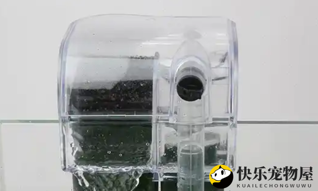 鱼缸过滤器的重要性，养鱼须知~