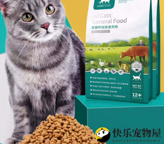 金钱豹猫粮测评：为猫咪打造健康营养餐食