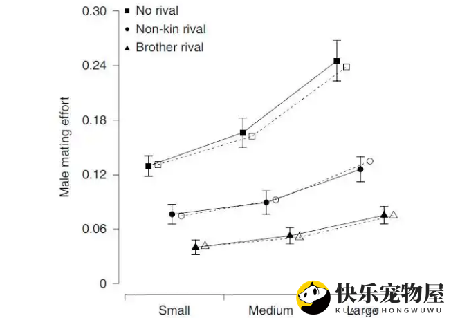 雄性孔雀鱼的“僚机”策略与求偶成功