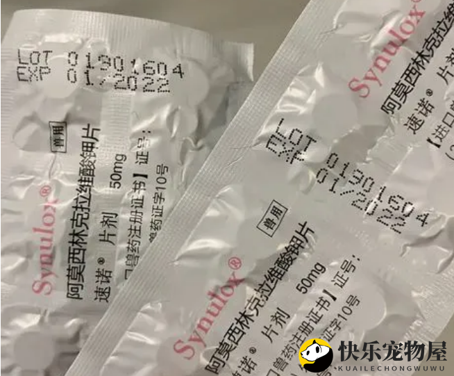 速诺片有哪些优势？我来告诉你答案！
