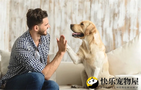 防狗咬指南：突然被恶狗攻击怎么办？