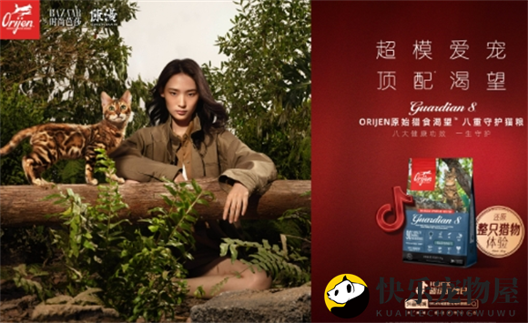革新传统营销框架，高端宠粮品牌渴望如何引领行业升级？