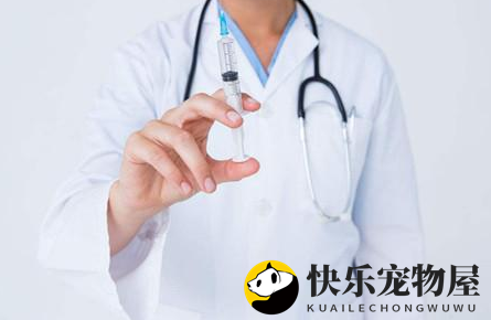 雪纳瑞打喷嚏恶心呕吐是感冒发烧吗？