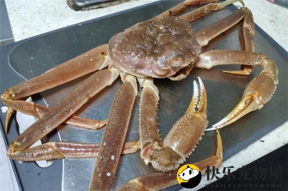 长脚蟹的烹饪多样