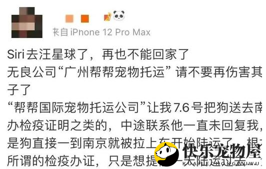 金毛Siri托运途中不幸离世！监管部门已介入调查
