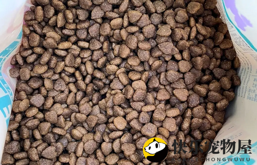 ?GOYAPET宠物粮，精心呵护宠物成长