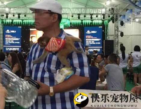 长春一男子带个猴子来啤酒节 引众人围观