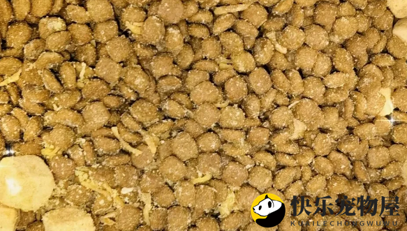 鲜粮说鸭肉梨冻干狗粮，狗子超爱！